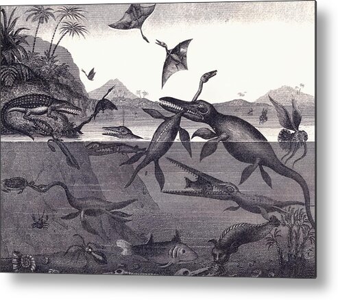 Dinosaur Metal Print featuring the drawing Prehistoric Animals of the Lias Group by English School