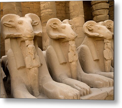 Karnak Metal Print featuring the photograph Protectors of the Ages by Brenda Kean