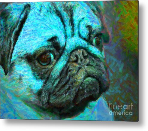 Animal Metal Print featuring the photograph Pug 20130126v5 by Wingsdomain Art and Photography