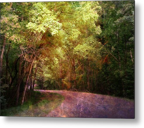 Natchez Trace Metal Print featuring the photograph Purple Road by Terry Eve Tanner