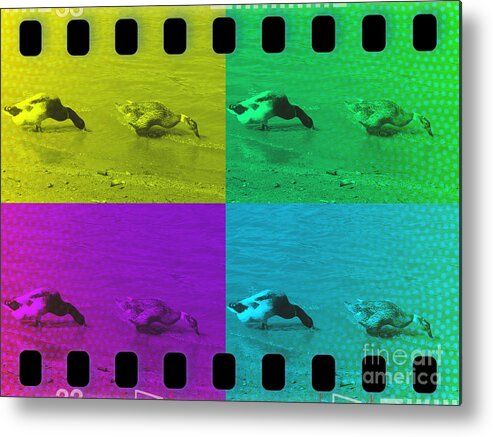 Duck Metal Print featuring the photograph Quack Quack by Therese Alcorn