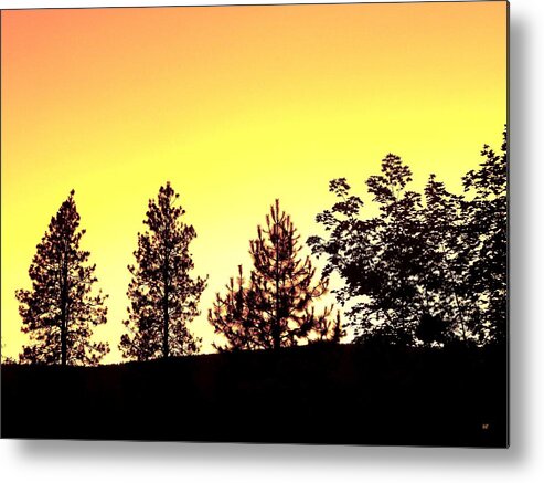Radiance Of Nature Metal Print featuring the photograph Radiance Of Nature by Will Borden