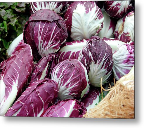 Italian Chicory Metal Print featuring the photograph Radicchio Lettuces by Tony Craddock/science Photo Library