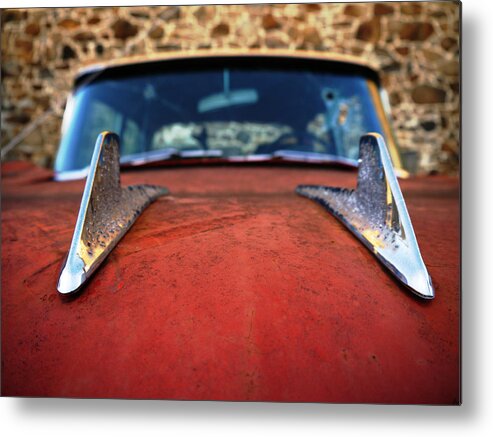 Ika 5829-2 Metal Print featuring the photograph Rebel Fins by Richard Reeve