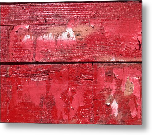 Red Metal Print featuring the photograph Red 2 by Jessica Levant
