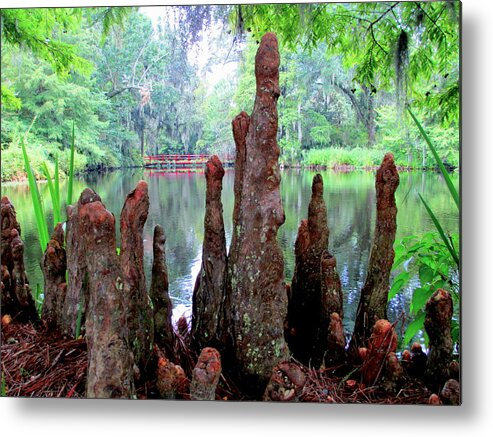 Red Metal Print featuring the photograph Red Bridge Cypress View by Randall Weidner