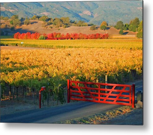 Landscape Metal Print featuring the photograph Red Gate at Sunrise by Ann Nunziata