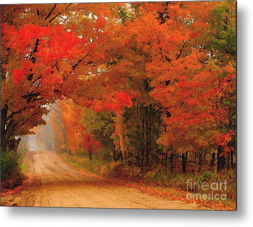 Autumn Metal Print featuring the photograph Red Archway by Terri Gostola