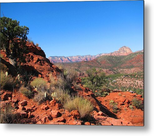 Sedona Metal Print featuring the photograph Red Rocks and Beyond by Tammie Miller