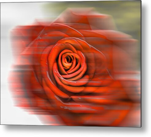 Red Metal Print featuring the photograph Red rose by Leif Sohlman