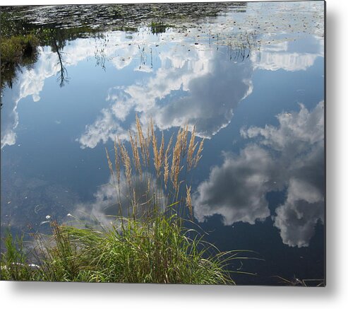 Water Metal Print featuring the photograph Reflections in the Water by Dr Carolyn Reinhart