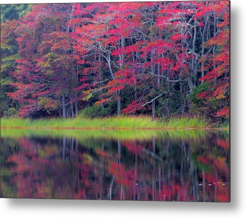 October Metal Print featuring the photograph Reflections of Fall by Dianne Cowen Cape Cod Photography