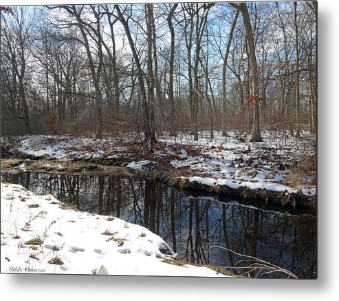 Winter Metal Print featuring the photograph Reflections of winter by Mikki Cucuzzo