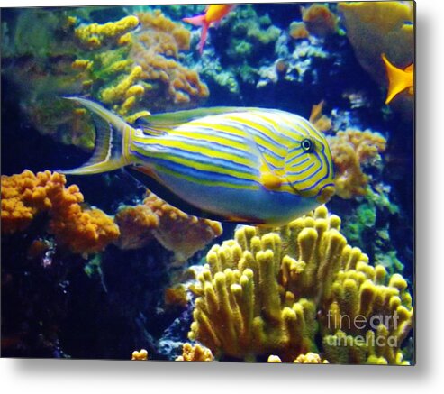 Angelfish Metal Print featuring the photograph Regal Angel by Brigitte Emme