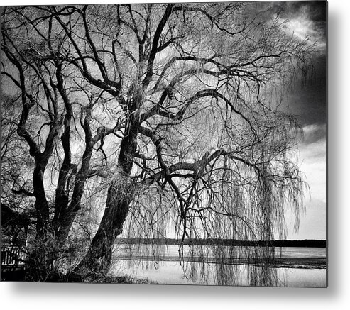 Landscape Metal Print featuring the photograph Remains of Winter by Dave Hall