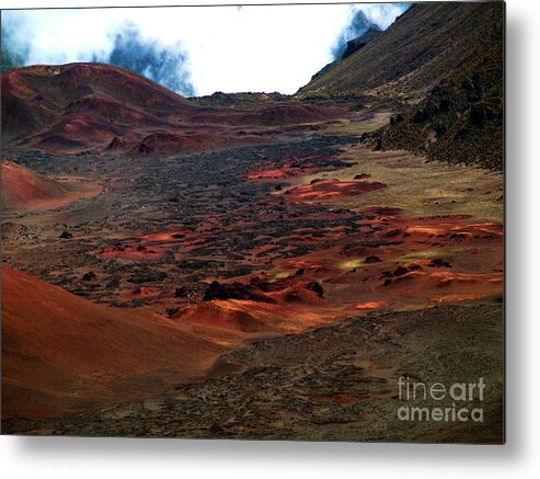 Fine Art Photography Metal Print featuring the photograph Remnants of a Catastrophe by Patricia Griffin Brett