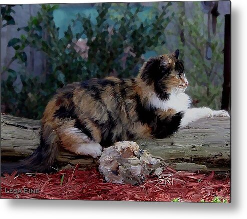 Cat Metal Print featuring the photograph Resting Calico Cat by Lesa Fine
