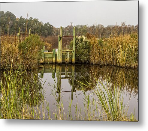 Historic Rice Fields Metal Print featuring the photograph Rice Field Trunks in the Fall by Sandra Anderson