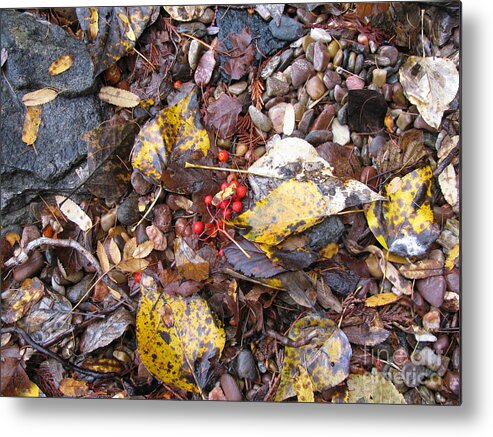 Rocks Metal Print featuring the photograph Rocks and Berries by Leone Lund