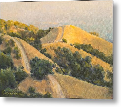 Hill Metal Print featuring the painting Rolling Hills by Kerima Swain