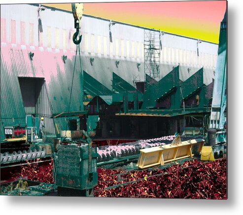 Surrealism Metal Print featuring the photograph Rose Colored Healthcare by Laureen Murtha Menzl