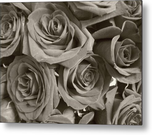 Rose Metal Print featuring the photograph Roses On Your Wall Sepia by Joseph Baril