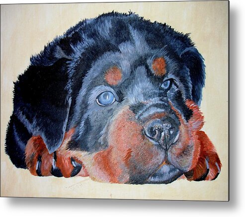 Rottweiler Metal Print featuring the painting Rottweiler Puppy Portrait by Taiche Acrylic Art