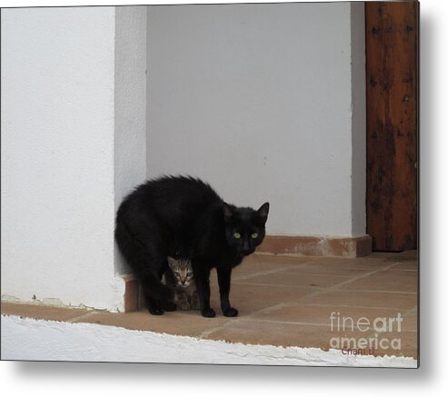 Cats Metal Print featuring the photograph Scared of the dog by Chani Demuijlder