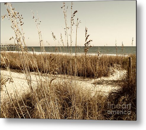 Beach Metal Print featuring the photograph Sea Oats Along the Strand by MM Anderson