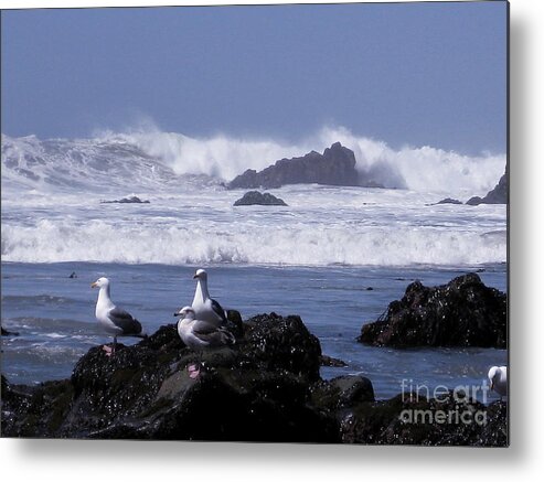 Waves Metal Print featuring the photograph Seagulls in Big Sur by Theresa Ramos-DuVon