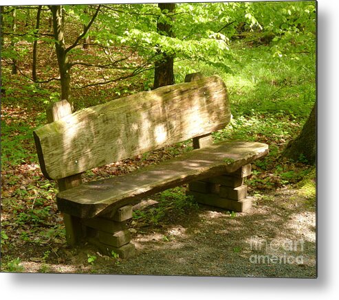 Forest Metal Print featuring the photograph Seat in Nature by Eva-Maria Di Bella
