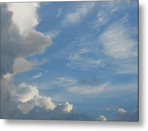 Nature Metal Print featuring the photograph Secret Sky by Sheila Silverstein