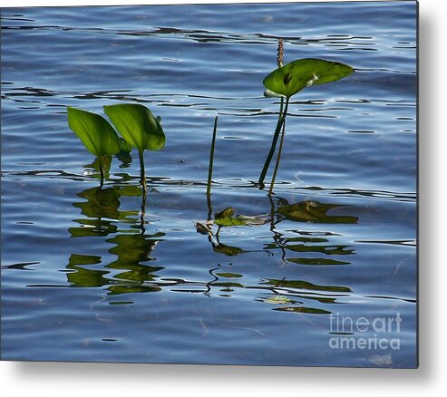 Water Metal Print featuring the photograph September Reflections by Jackie Mueller-Jones
