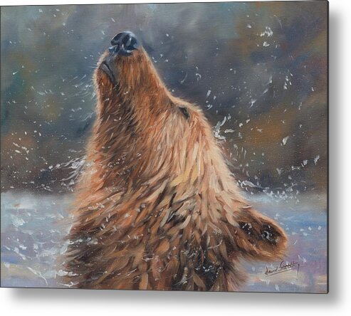 Bear Metal Print featuring the painting Shake it by David Stribbling