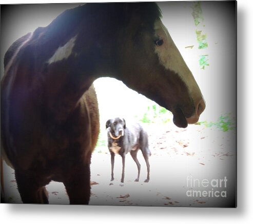 Horse Metal Print featuring the photograph Sierra and Cody in the Mist by Rabiah Seminole