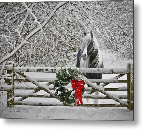 Horse Metal Print featuring the photograph Silent Night by Terry Kirkland Cook