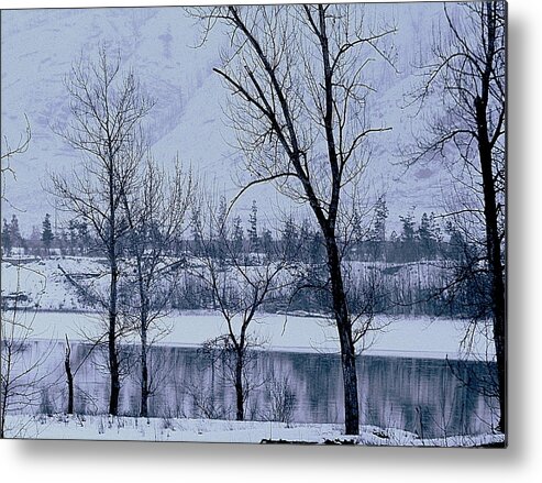 Winter Metal Print featuring the photograph Simple Days by Kathy Bassett