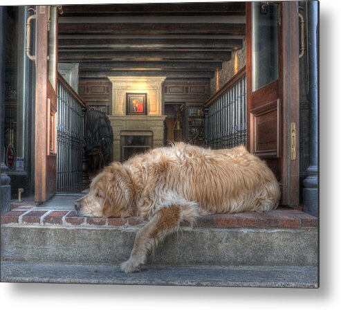 Dog Metal Print featuring the photograph Slow Day at the Office by J Laughlin