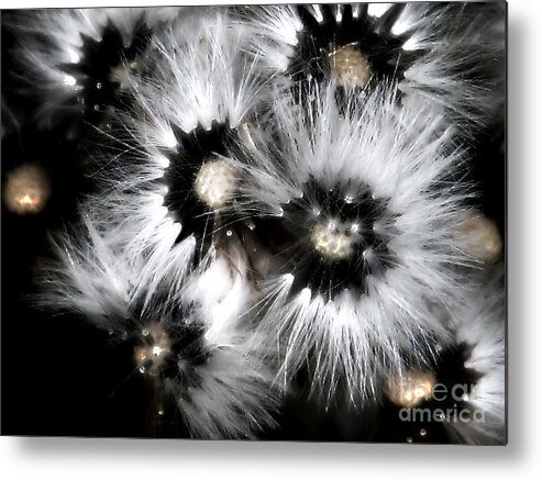 Dandelion Metal Print featuring the photograph Small Worlds by Rory Siegel
