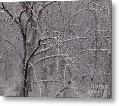 Bridge Metal Print featuring the photograph Snow in the Trees at Bulls Island by Christopher Plummer