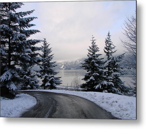 Trees Metal Print featuring the photograph Snowy Gorge by Athena Mckinzie