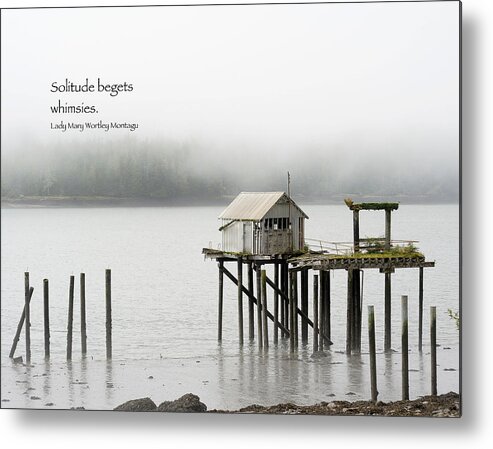 Landscapes Metal Print featuring the photograph Solitude Begets Whimsies by Mary Lee Dereske