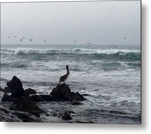 Ocean Metal Print featuring the photograph Solo Pelican by Aprelle Pierce