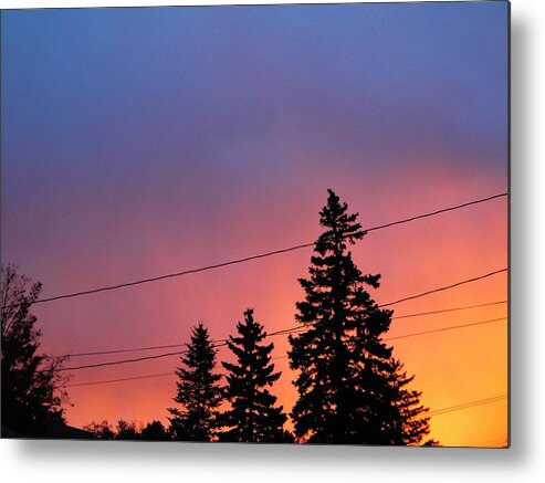 Tree Line Metal Print featuring the photograph Somebody told me God is a painter by Suzanne Perry