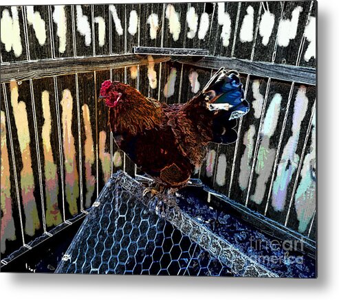 Bird Metal Print featuring the photograph Son Of Sammy Andy by Donna Brown
