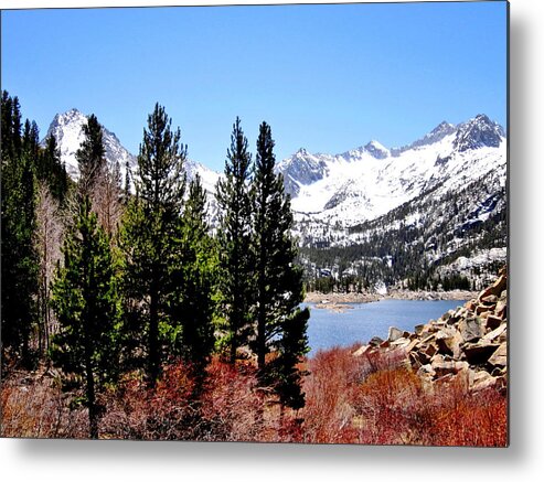 South Lake Metal Print featuring the photograph South Lake by Marilyn Diaz
