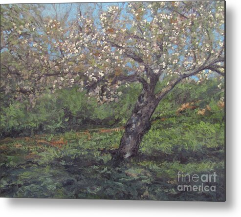 Spring Cherry Blossoms Metal Print featuring the painting Spring Cherry Blossoms by Gregory Arnett