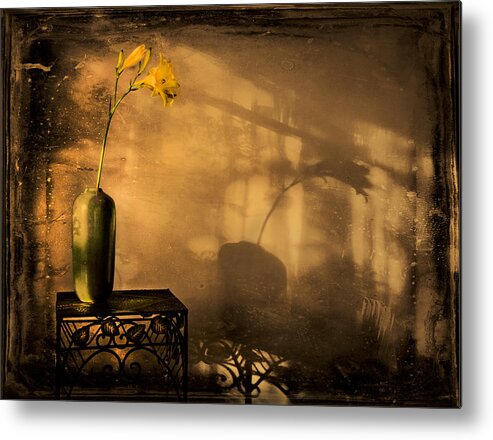 Still Life Metal Print featuring the photograph Still Life - Day Lily by Theresa Tahara