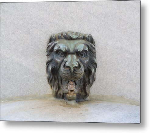 Lion Metal Print featuring the photograph Stone Face by Aaron Martens