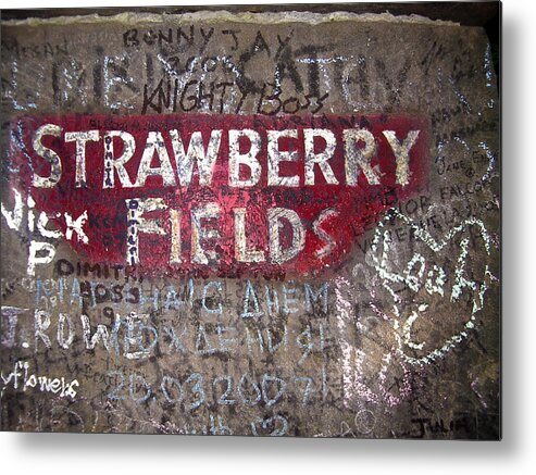 Strawberry Metal Print featuring the photograph Strawberry Fields by Enrique Coloma